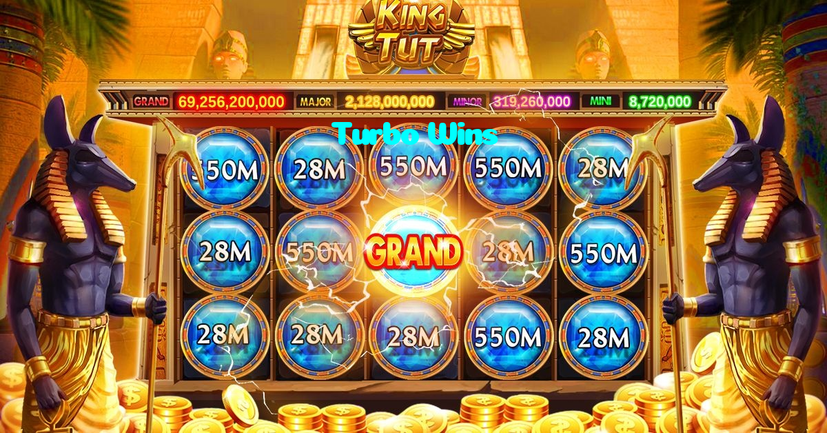 available types of Turbo Wins bet including pre-match live express and system bets
